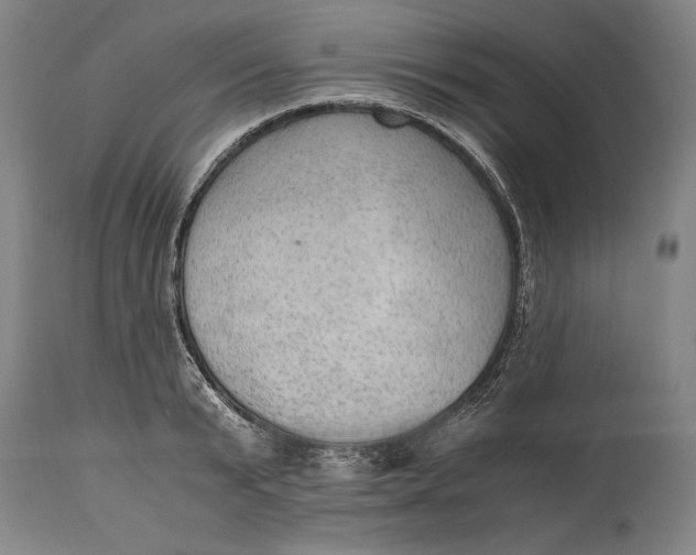 X0000114600799200911161353