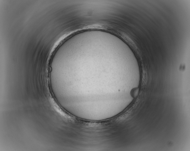 X0000114600800200911161353