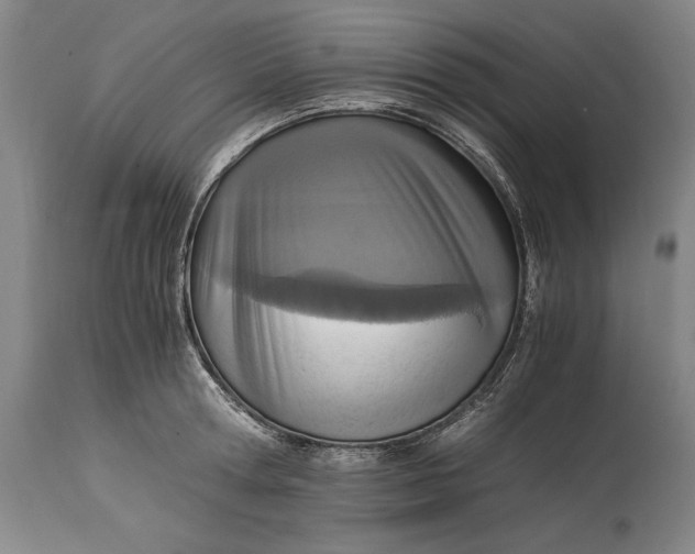 X0000114600802200911161353