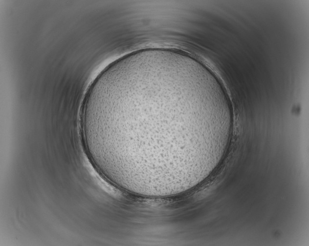 X0000114600803200911161353