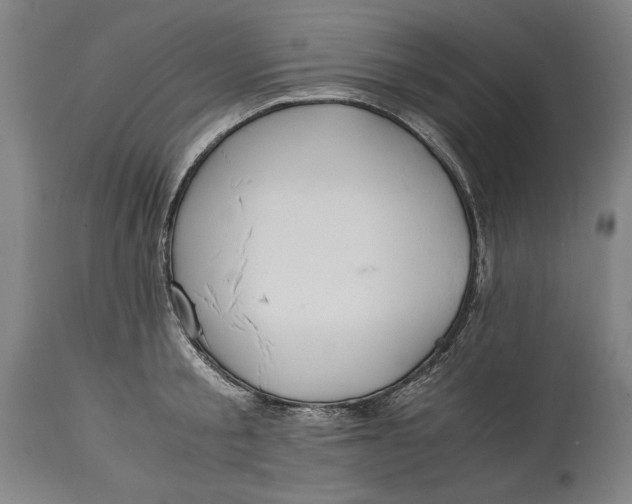 X0000114600805200911161353