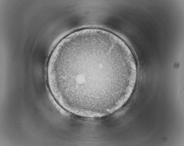 X0000114600807200911161352