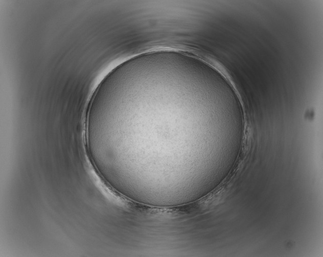 X0000114600811200911161352