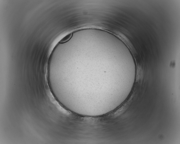 X0000114600812200911161352