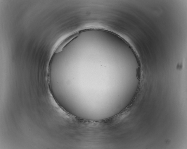 X0000114600815200911161352