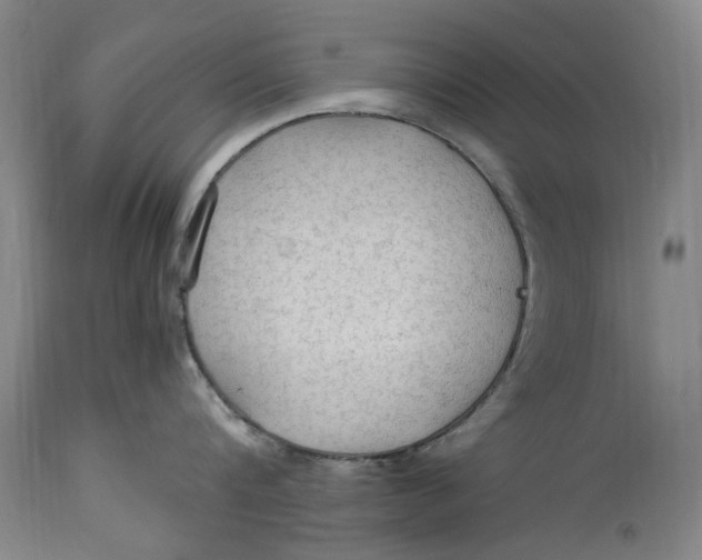 X0000114600816200911161352