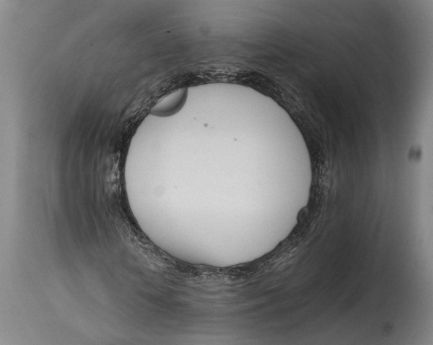 X0000114600818200911161351