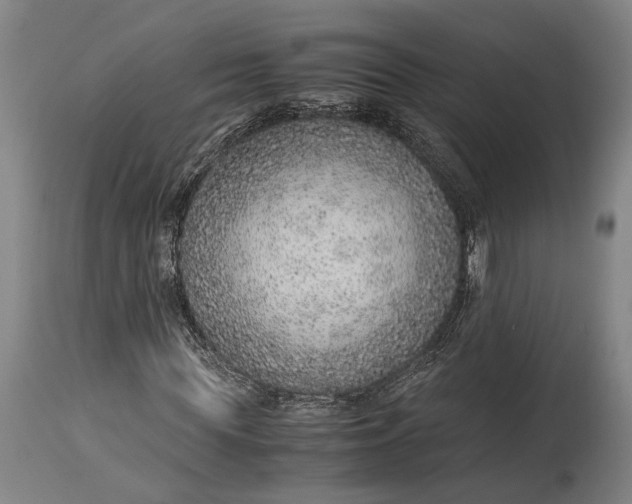 X0000114600819200911161351