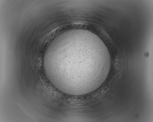 X0000114600821200911161351