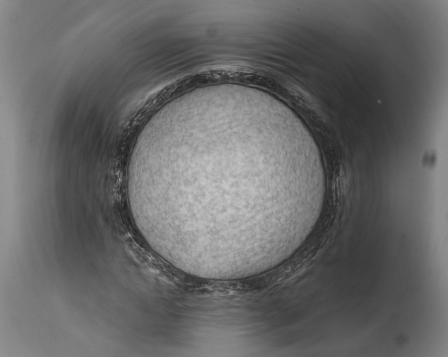 X0000114600822200911161351