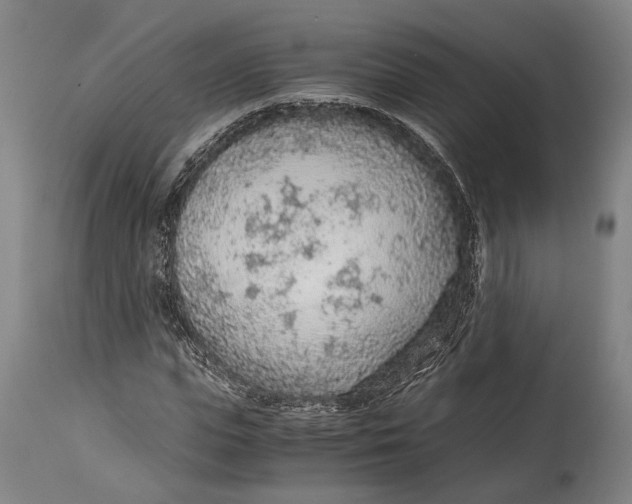 X0000114600823200911161352