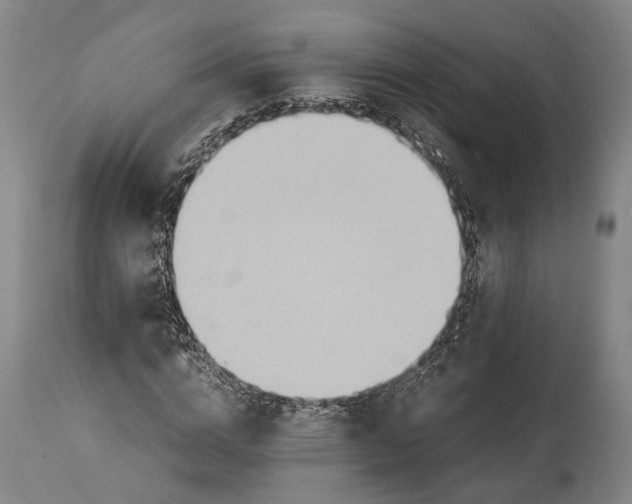 X0000114600824200911161352