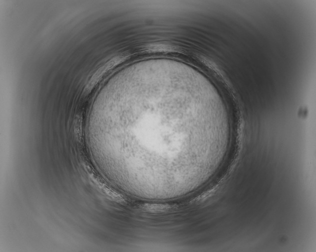 X0000114600825200911161352