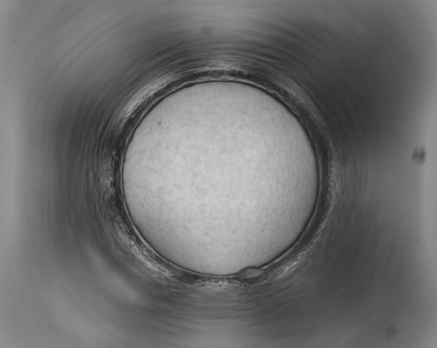 X0000114600826200911161352