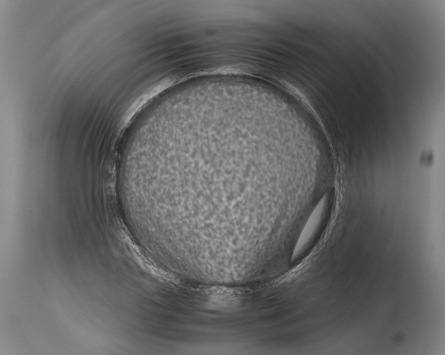 X0000114600827200911161352