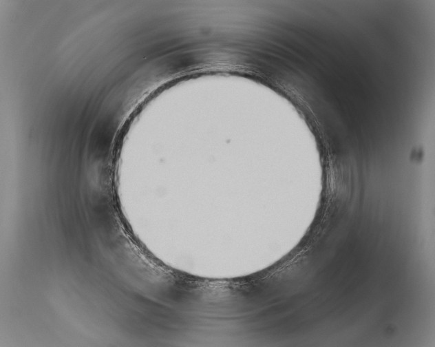 X0000114600828200911161352