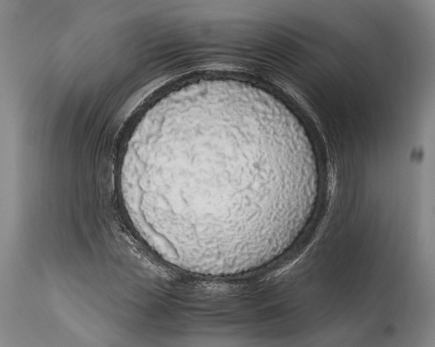 X0000114600829200911161352