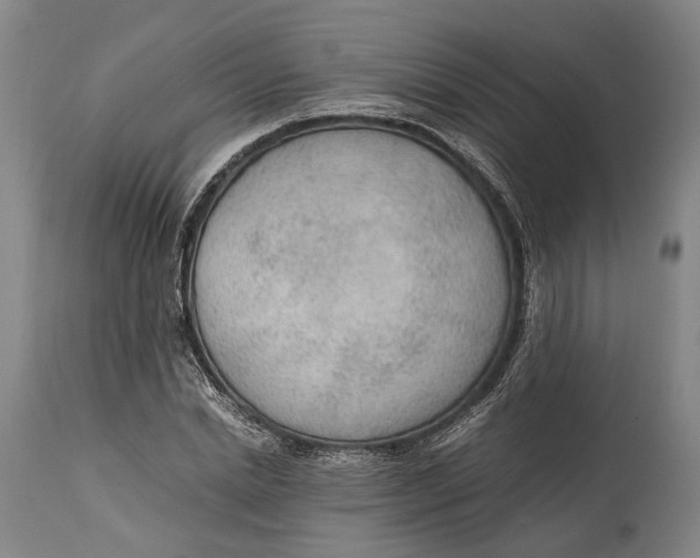 X0000114600830200911161352