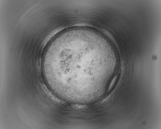 X0000114600831200911161352