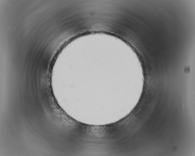 X0000114600832200911161352