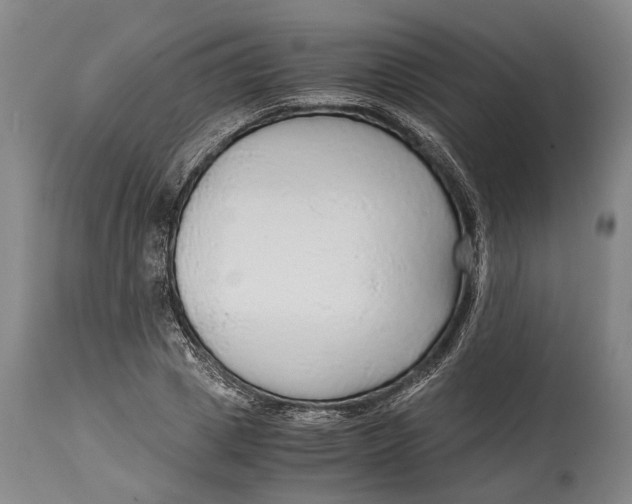 X0000114600833200911161352