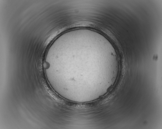 X0000114600834200911161352