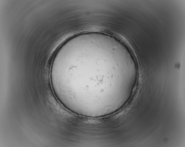 X0000114600835200911161352