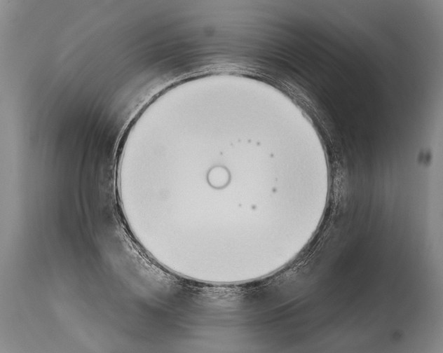 X0000114600836200911161352