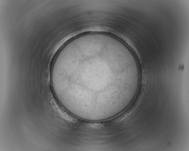 X0000114600837200911161352