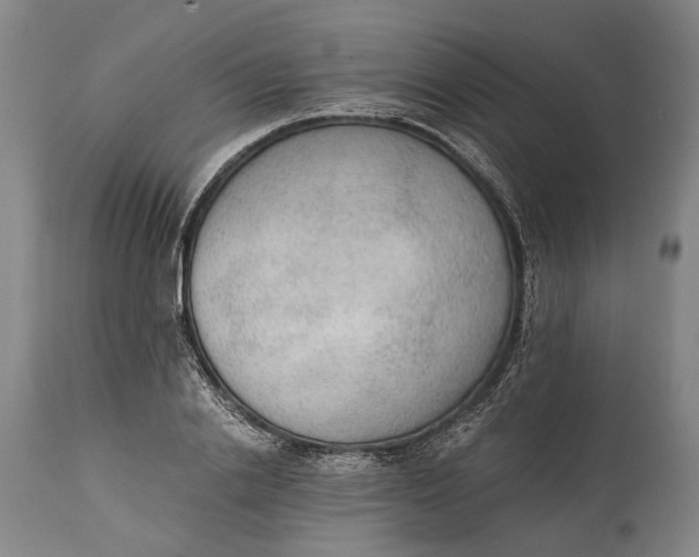 X0000114600838200911161352