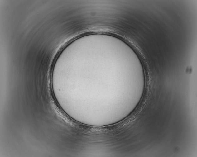 X0000114600840200911161352