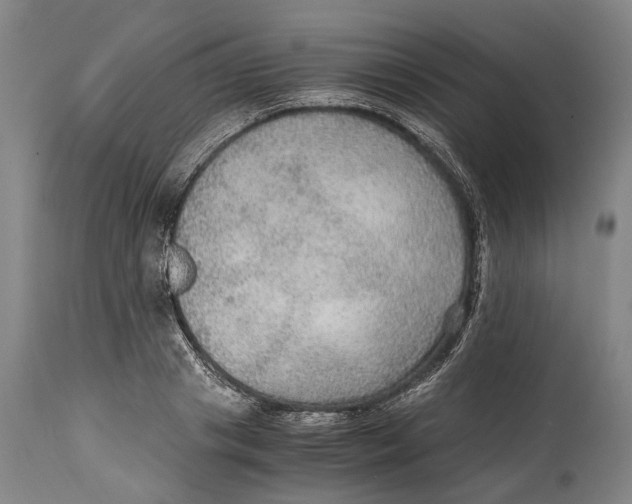 X0000114600841200911161352