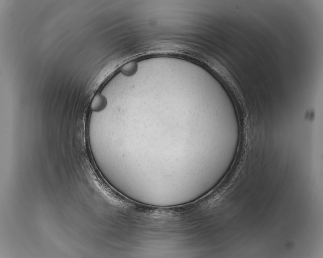 X0000114600842200911161352