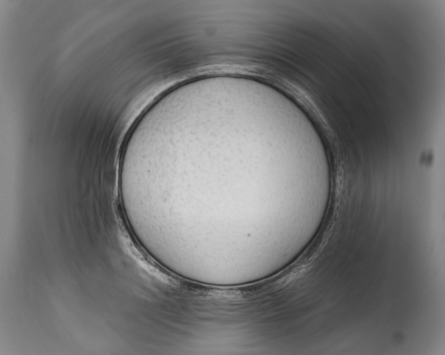 X0000114600844200911161352