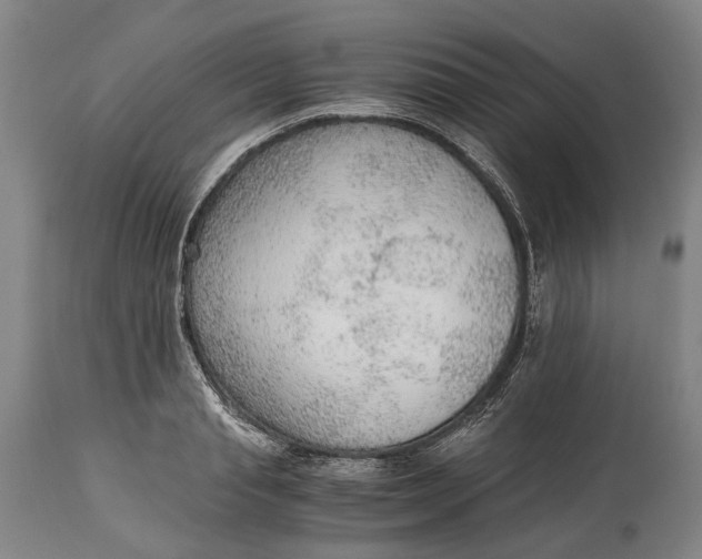 X0000114600845200911161352