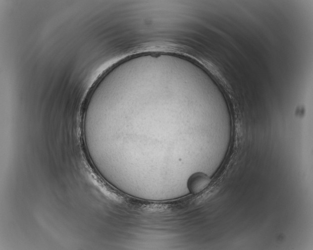 X0000114600846200911161352