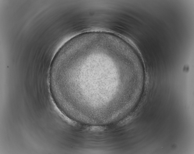 X0000114600847200911161352