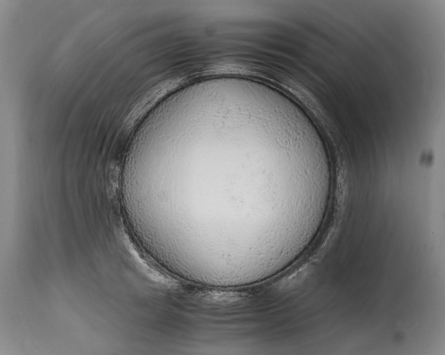 X0000114600849200911161352