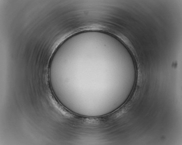 X0000114600850200911161352