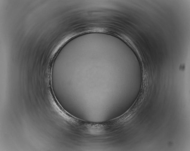 X0000114600851200911161352