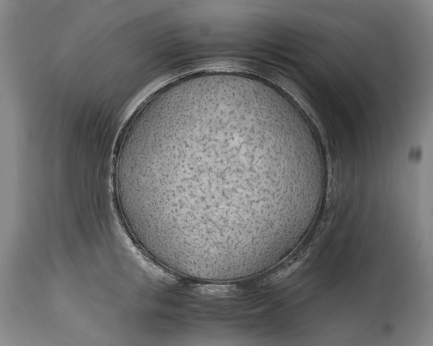 X0000114600853200911161352