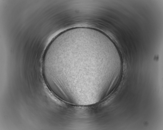 X0000114600854200911161352