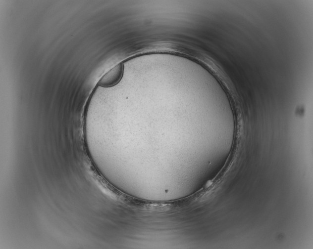 X0000114600858200911161352