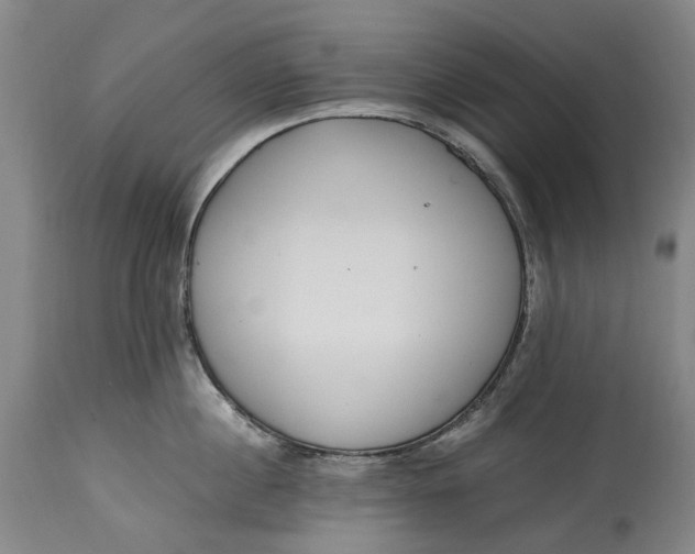 X0000114600860200911161352