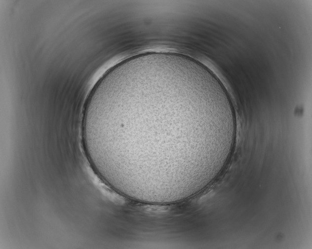 X0000114600861200911161352