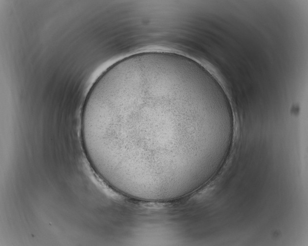 X0000114600862200911161352