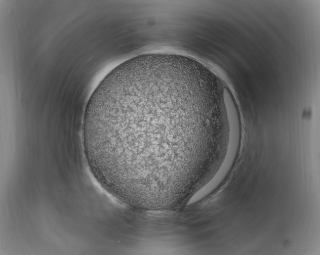 X0000114600863200911161352