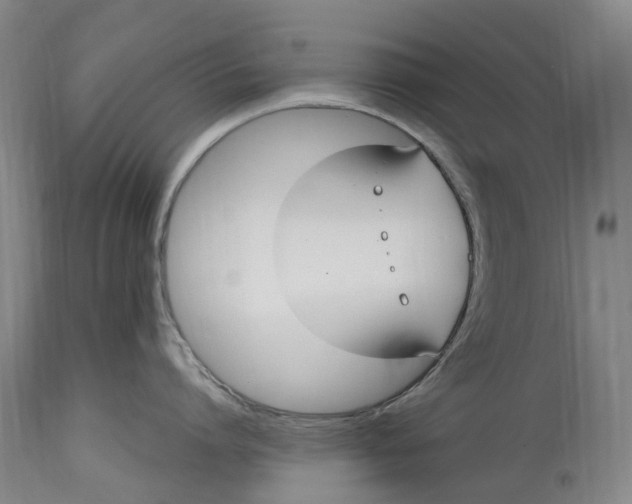 X0000114600864200911161352