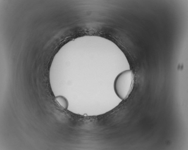 X0000114600865200911161351