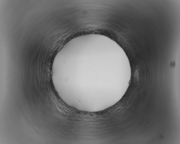 X0000114600868200911161351